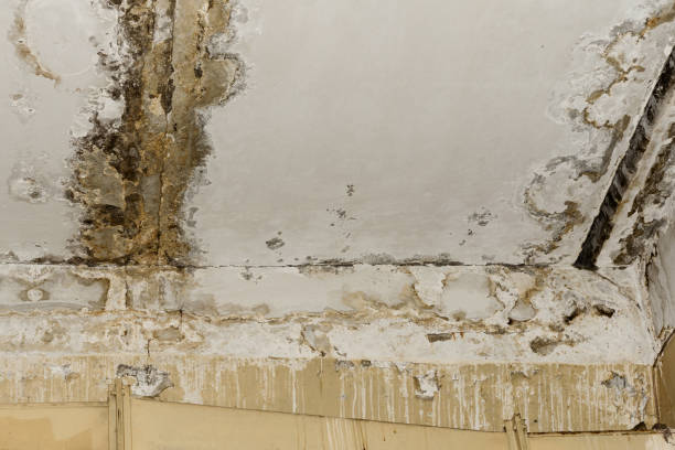 Best Residential Mold Inspection & Testing  in Lake St Louis, MO