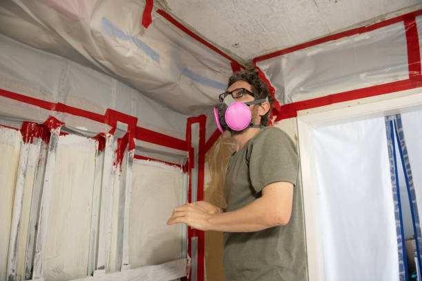 Mold Removal